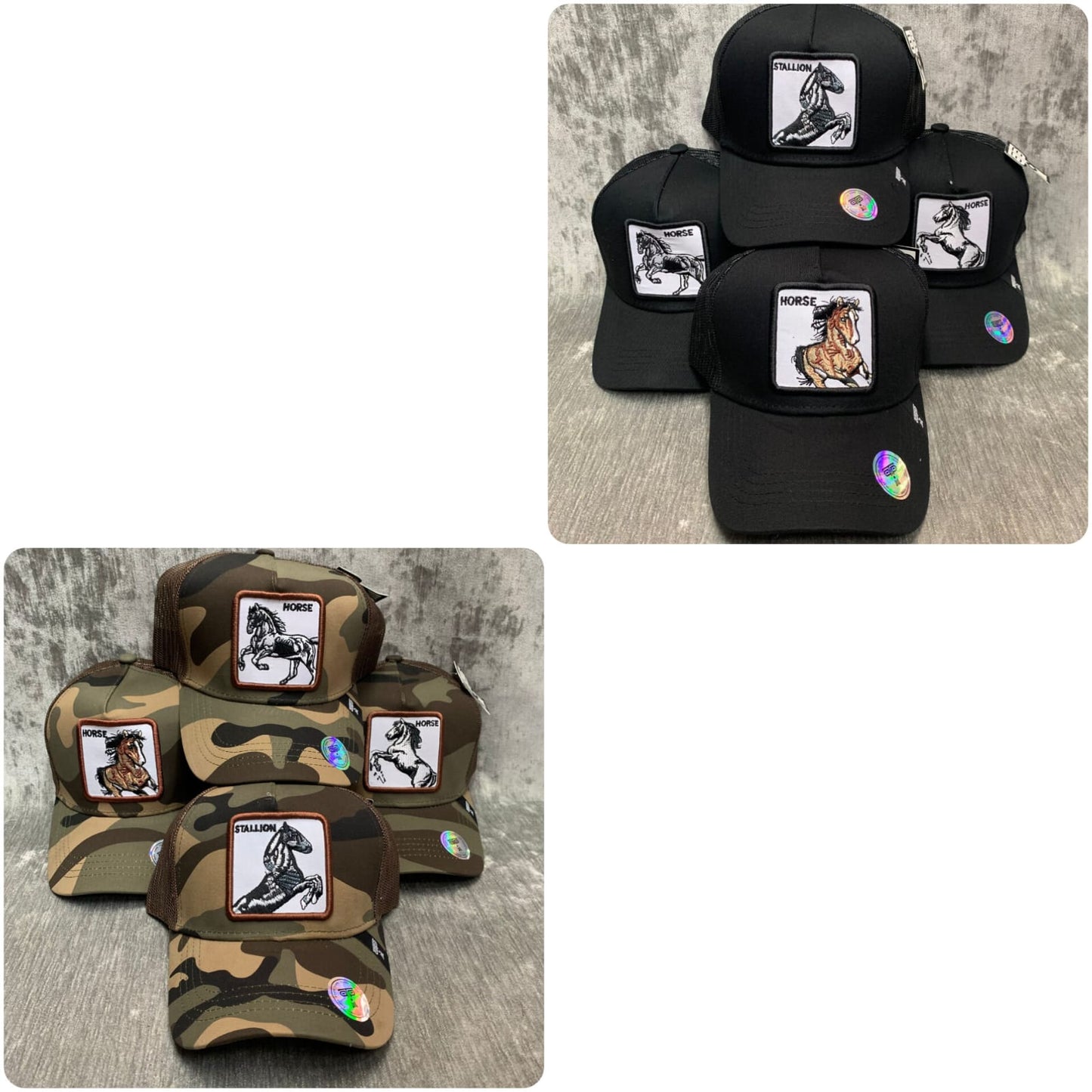 GORRAS NUEVA COLECCIÓN